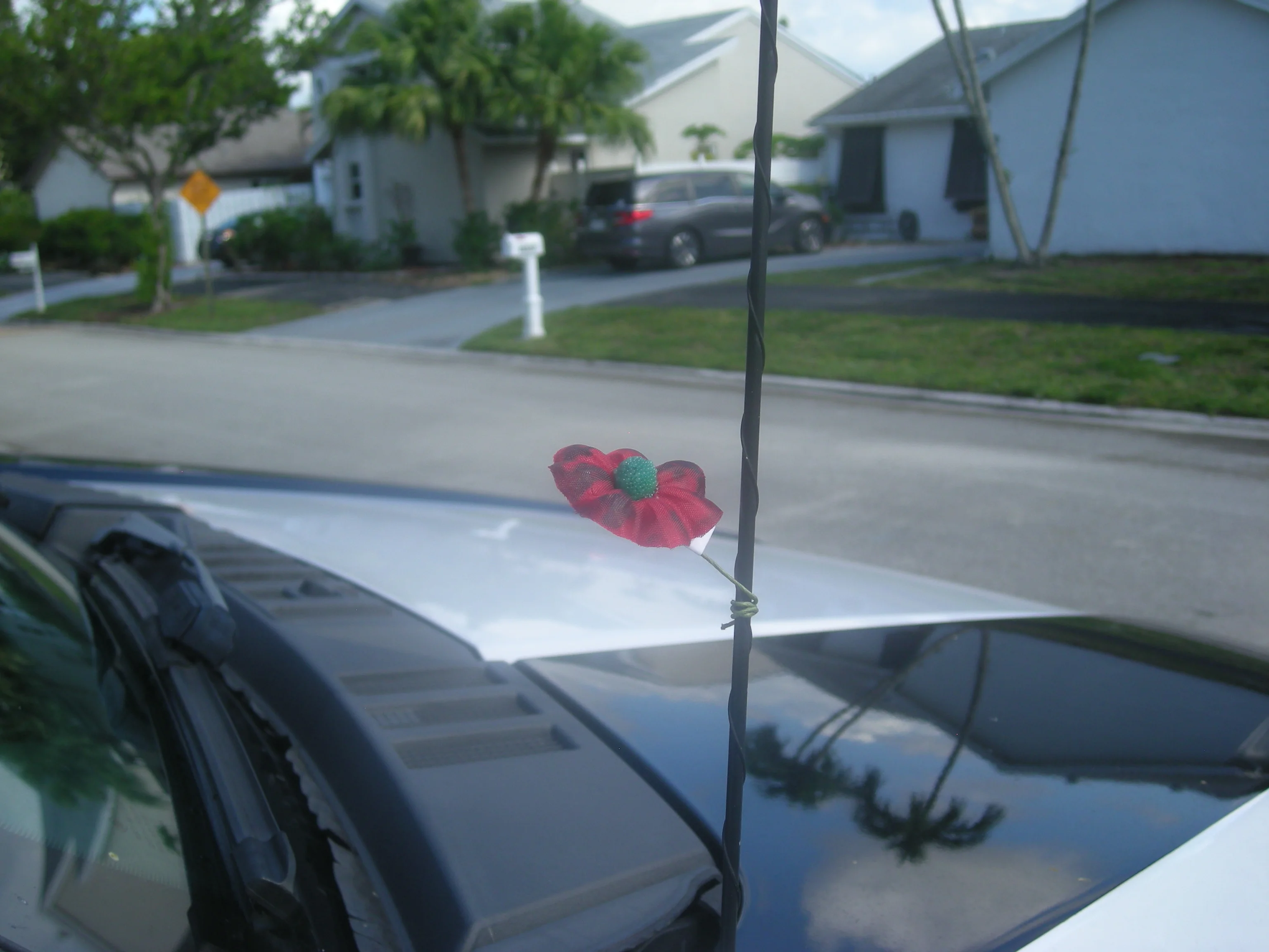 DSCN0232.webp