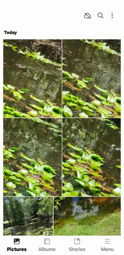 1000009206.webp