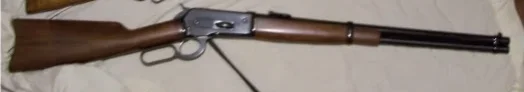 Browning 1886, 45-70.webp