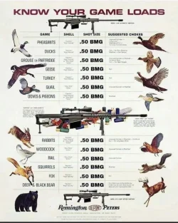 3CBDC934-27AA-4FAC-8786-A1D8DD7176CE.webp