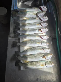 20260428_162251.webp